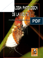 Entomología Patológica de La Vid. Parte III