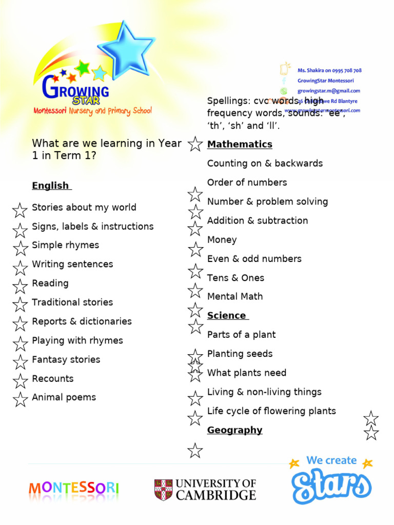 Year 1 Term 1 Curriculum Overview | PDF