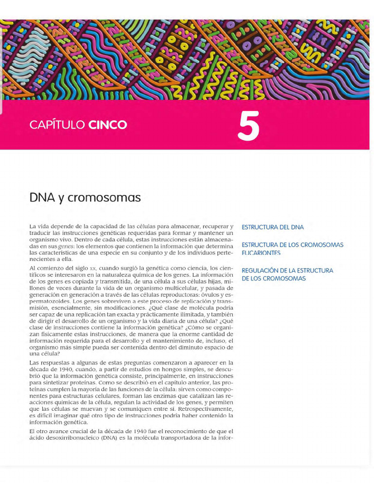 Tema 3 Cap 5 Dna y Cromosomas | PDF