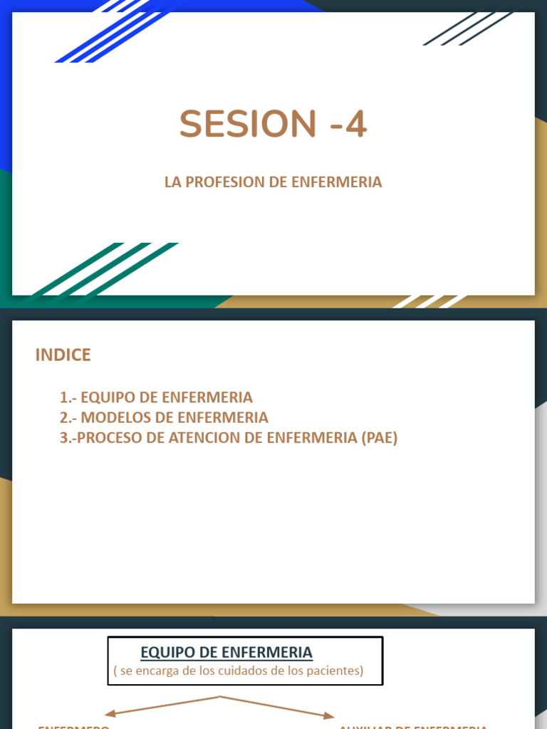 Sesion - 4. Oa. La Profesion de Enfermeria | PDF | Enfermería | Cuidado ...