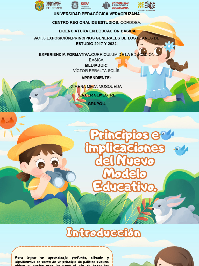 Principios del Nuevo Modelo Educativo | PDF | Plan de estudios | Escuelas