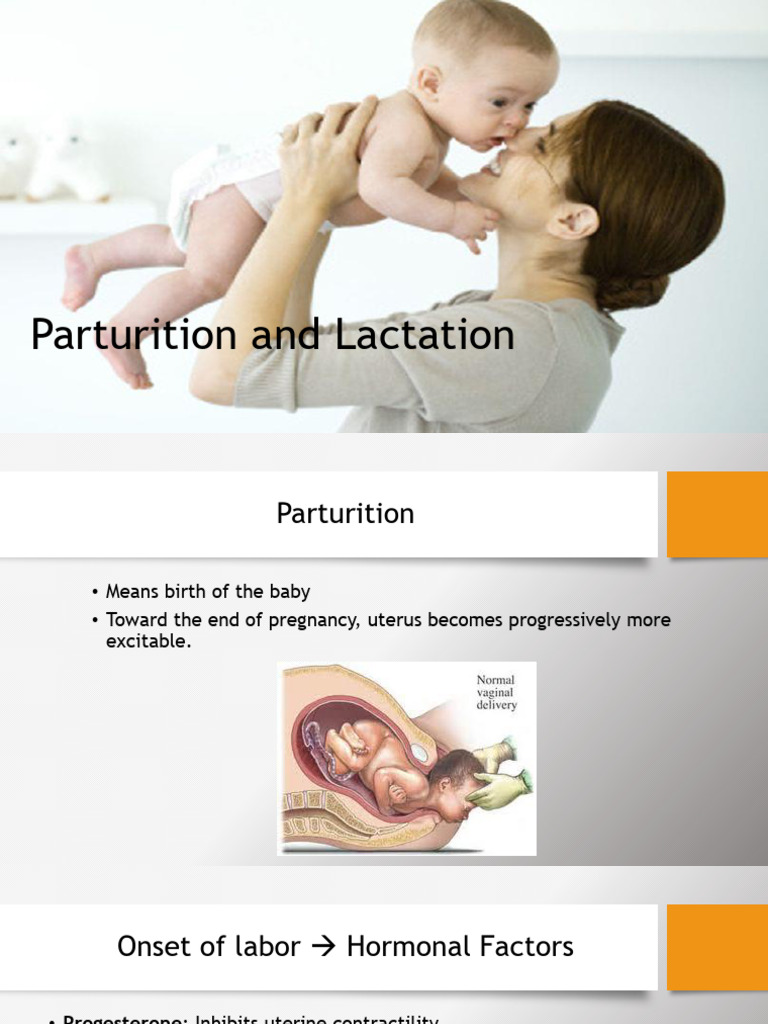 Parturition and Lactation Overview | PDF | Lactation | Breastfeeding