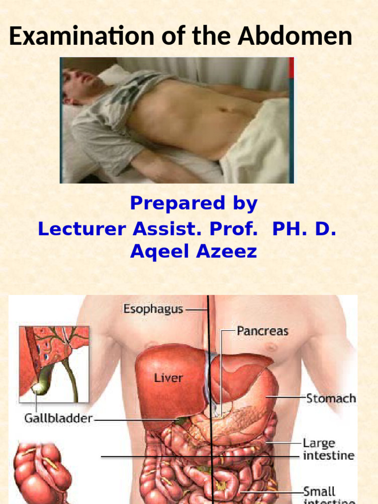 Examination of the Abdomen 4 م٢ | PDF | Abdomen | Diseases And Disorders