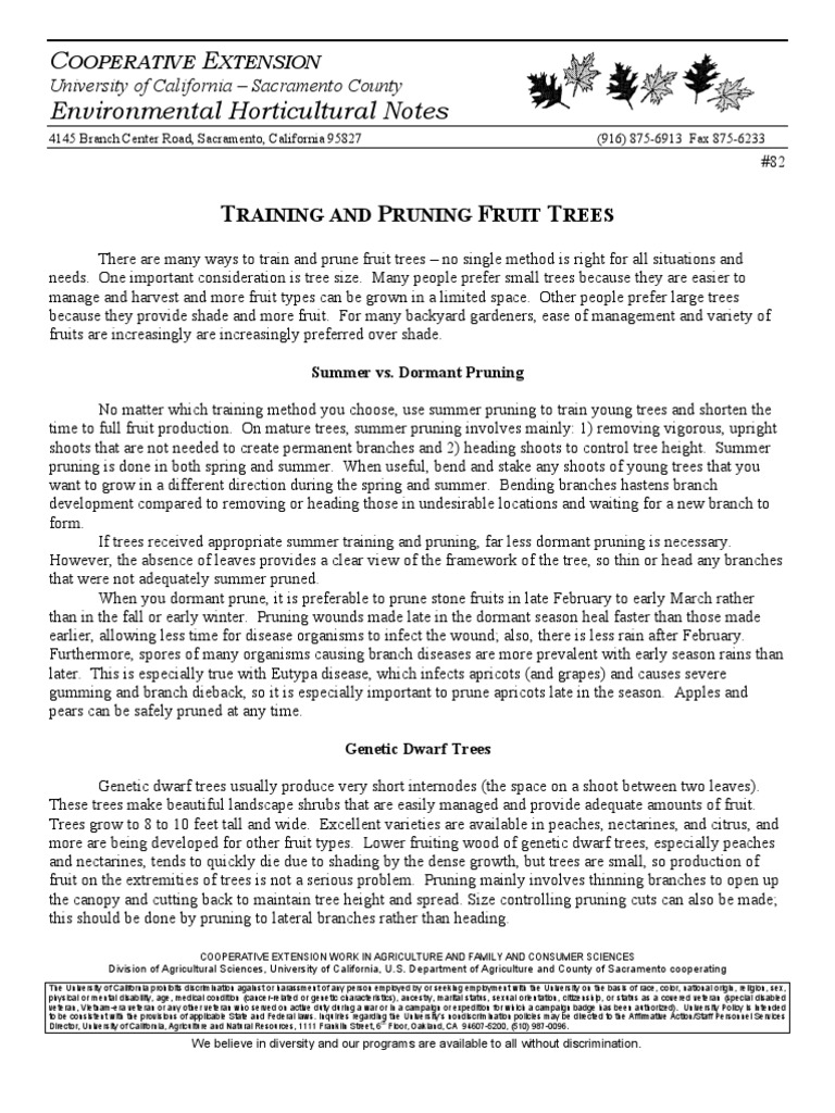 Training and Pruning Fruit Trees Guide | PDF | Pruning | Peach