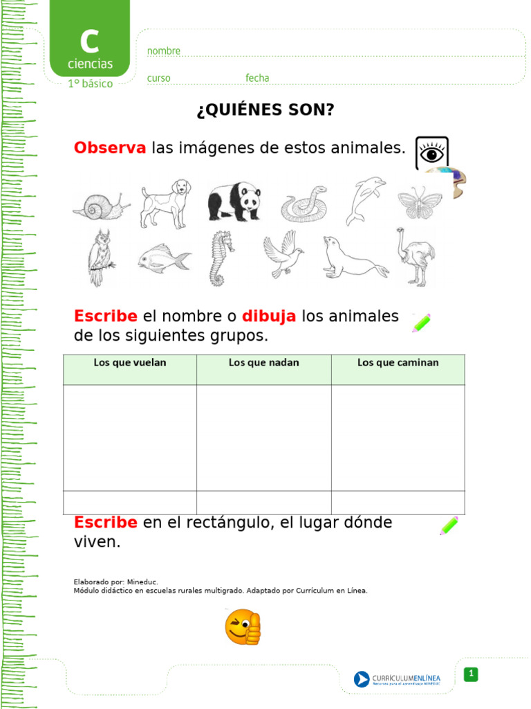 Animales Que Andan Vuelan Corren | PDF