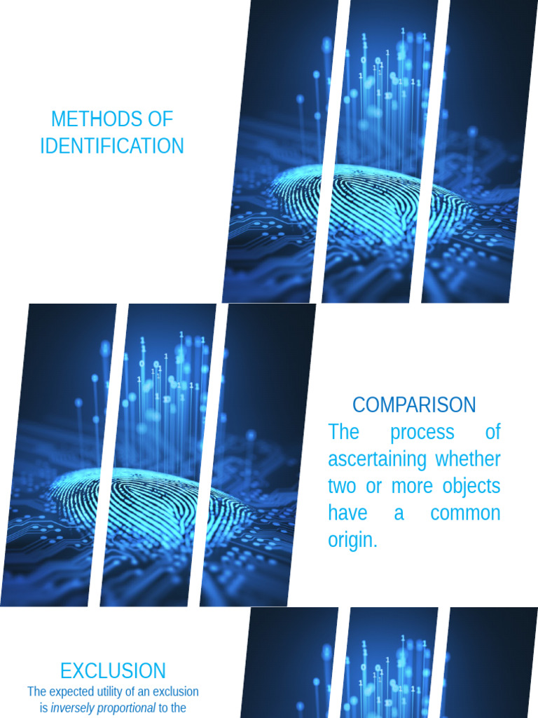 Forensic Pdf Fingerprint