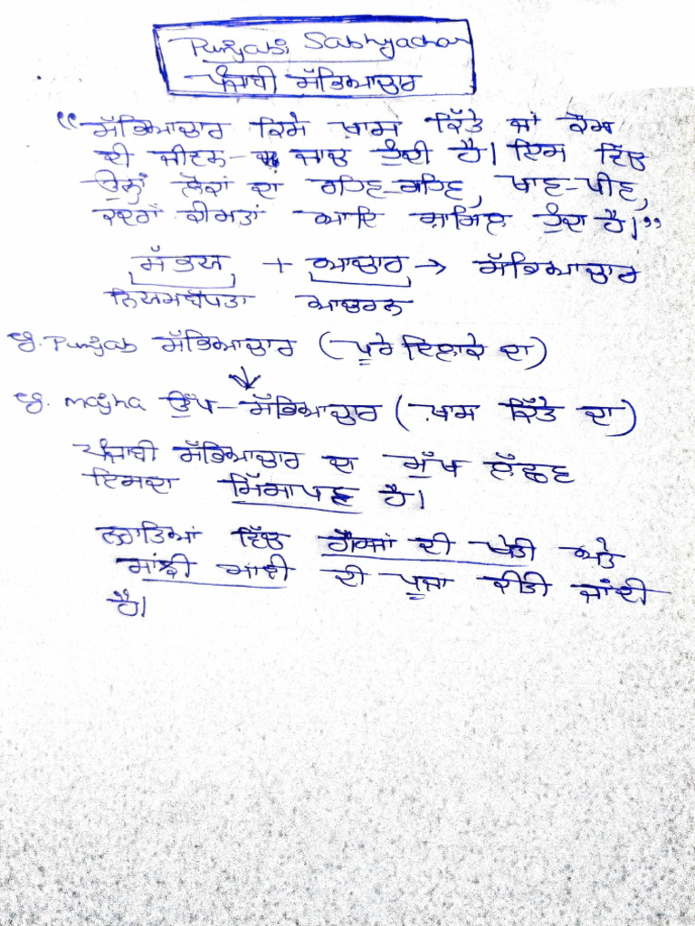 Punjabi Culture | PDF