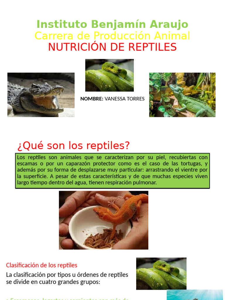 View of Nutricion de Reptiles | PDF | Reptil | Alimentos