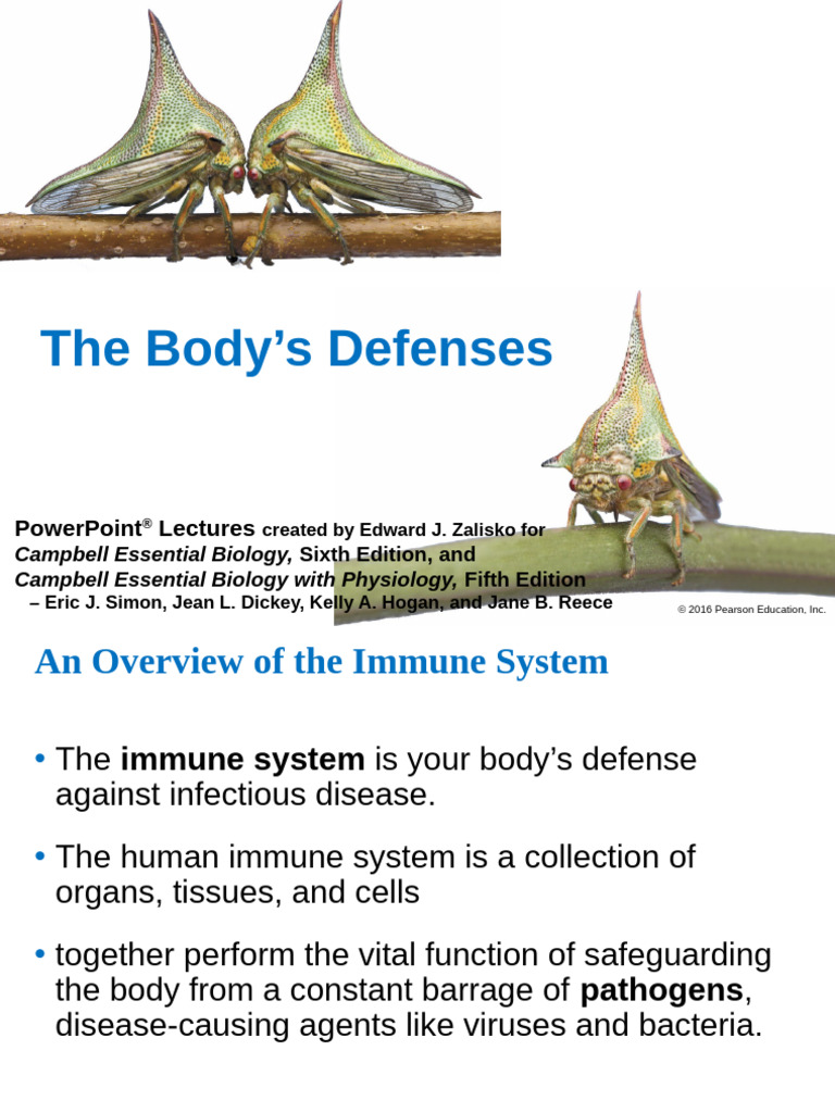 Bodys Defence | PDF | Lymphatic System | Antigen