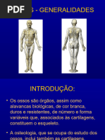 Anatomia Do Crânio E Face Pdf Veia Crânio