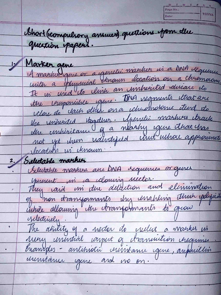 RDNA Notes Part 2 | PDF