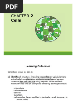 Cell Specialization and Organ Systems | PDF | Tissue (Biology) | Cell ...