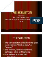 5the Skeleton