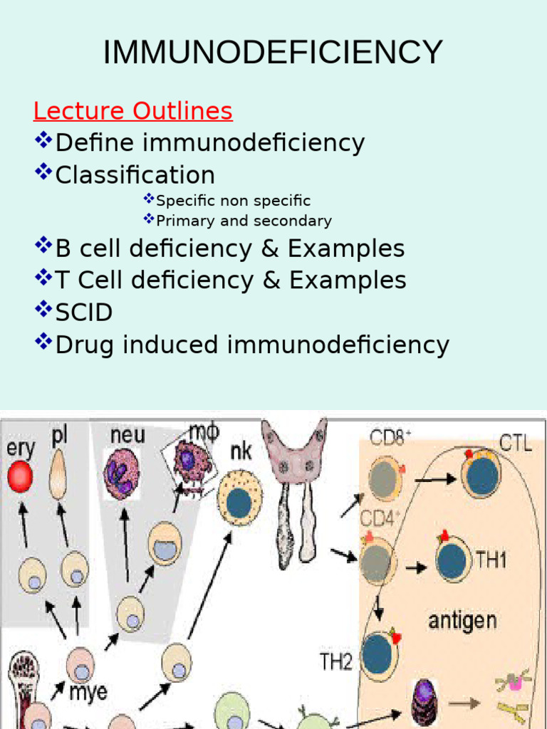Understanding Immunodeficiency Disorders | PDF | Immunodeficiency ...