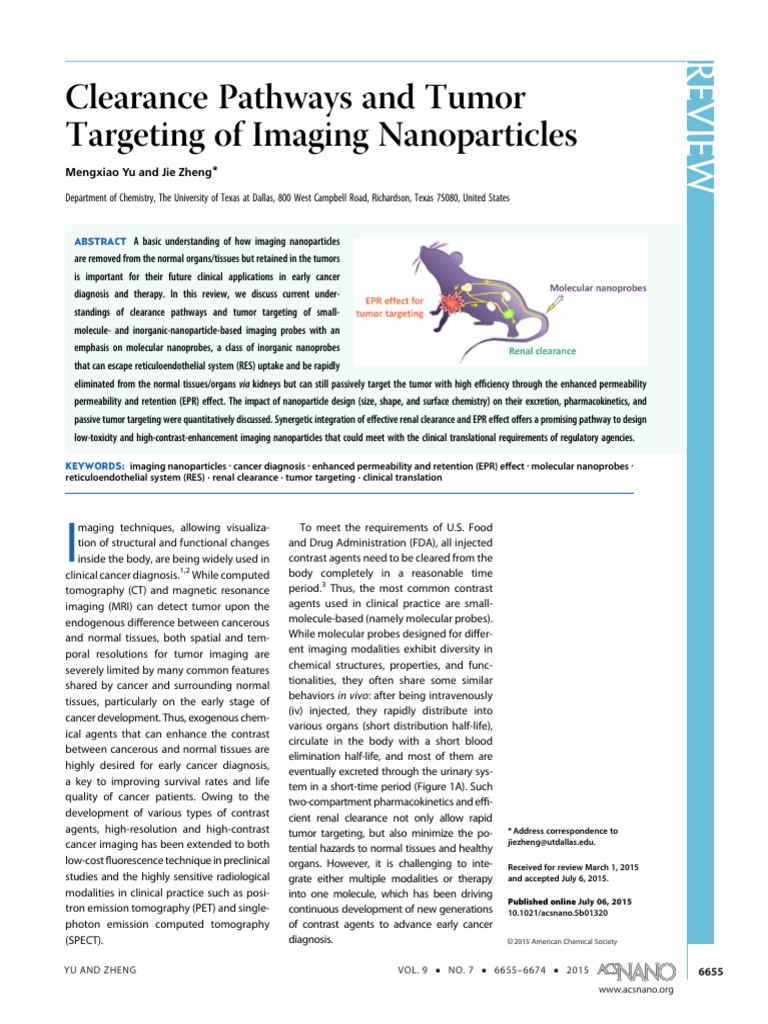 Tumor Targeting of Imaging Nanoparticles | PDF | Medical Imaging ...