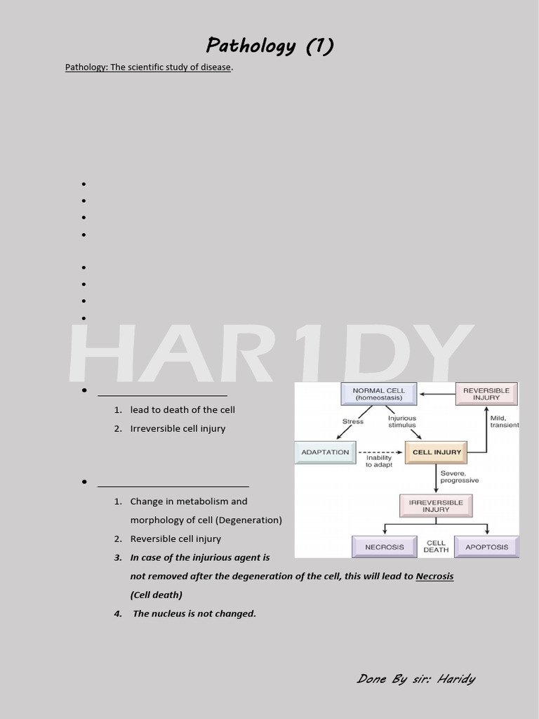 Pathology: Cell Injury and Necrosis Types | PDF | Inflammation | Wound ...