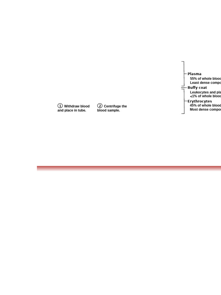 Hematology Blood Smear Analysis | PDF