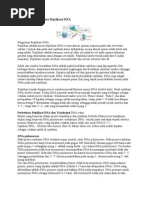 Pengertian Dan Proses Replikasi DNA