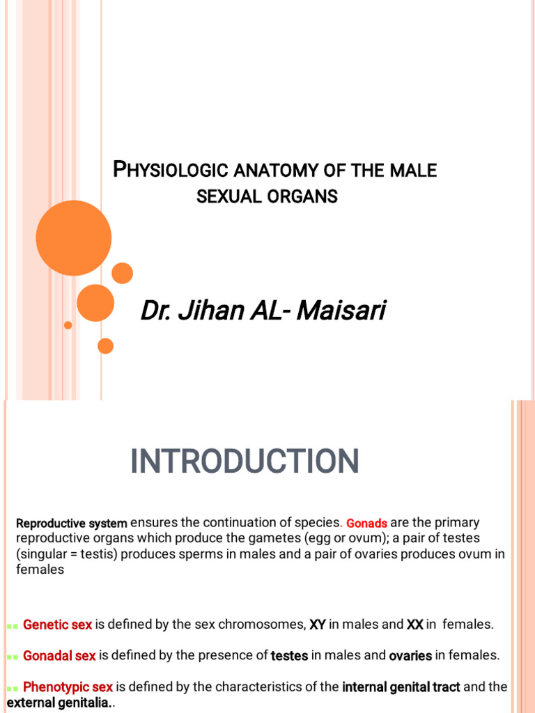 Hormonal Regulation of Male Reproduction | PDF | Luteinizing Hormone ...