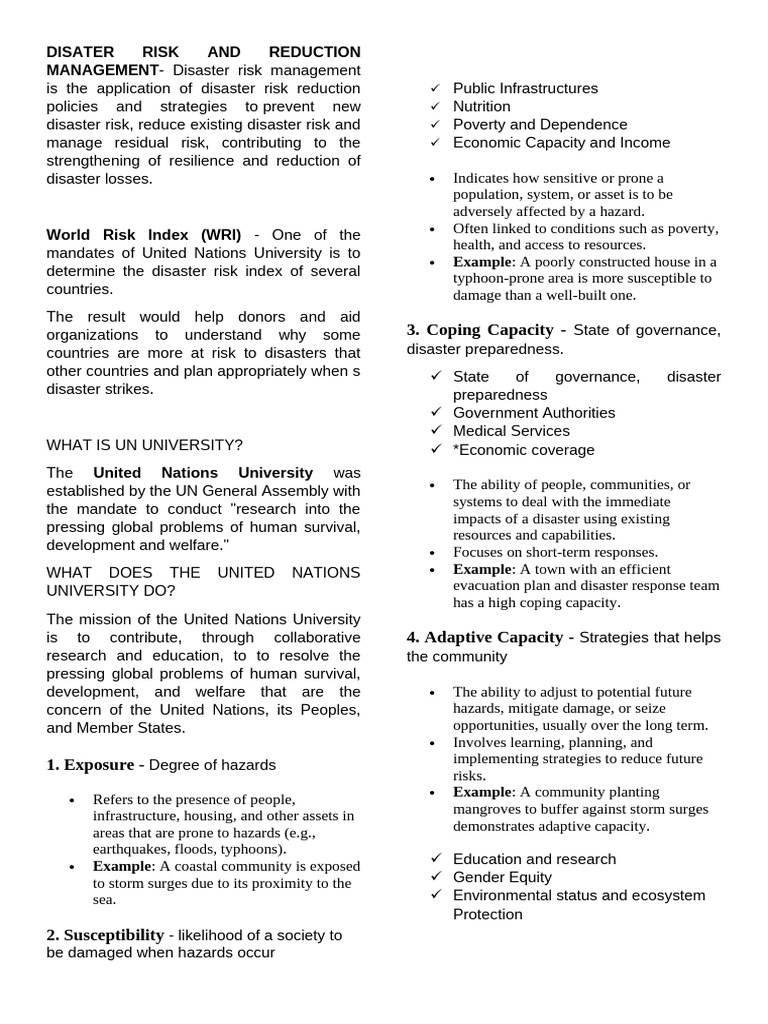 Disater Risk and Reduction Management | PDF | Disaster Risk Reduction ...