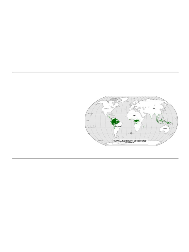 Rainforest Canopy Overview for Kids | PDF | Rainforest | Canopy (Biology)