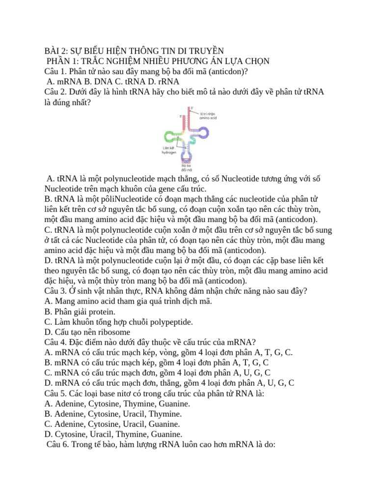Bai 2 | PDF