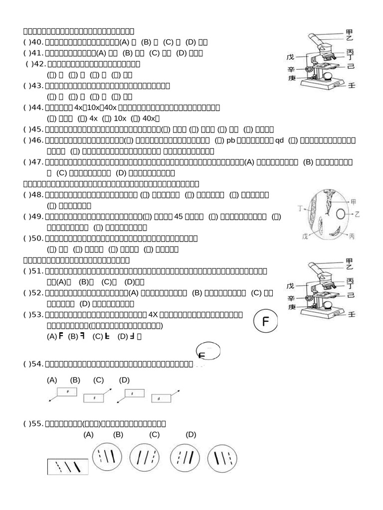 2 1 | PDF