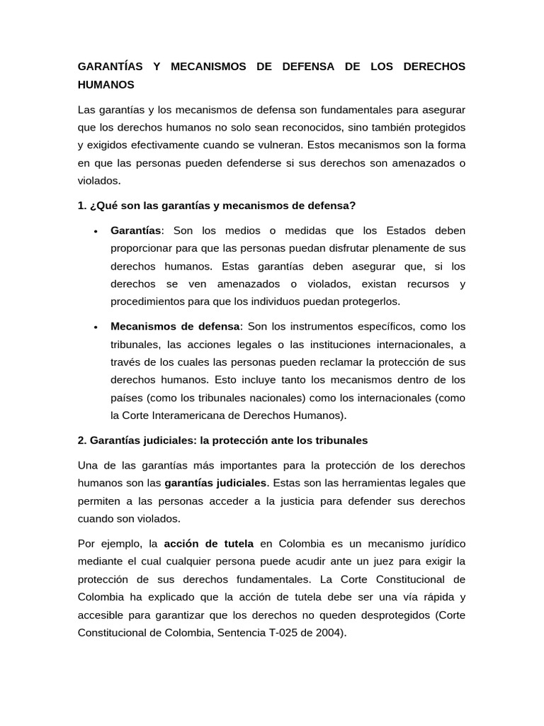 6 GARANTÍAS Y MECANISMOS DE DEFENSA DE LOS DERECHOS HUMANOS | PDF ...