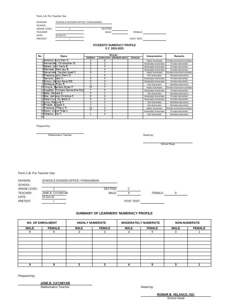 Learners' Numeracy Profile Summary | PDF | Learning | Behavior Modification