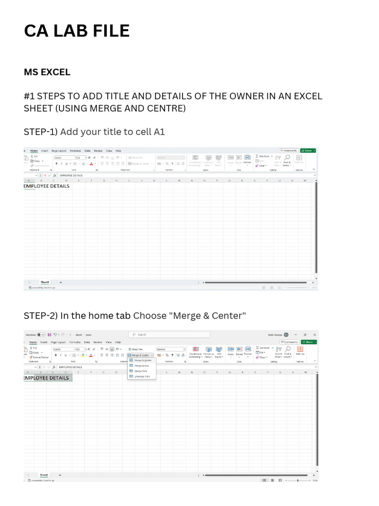 CA LAB FILE MS EXCEL | PDF | Microsoft Excel | Computing
