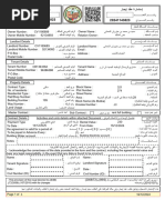 Cairo Postal Codes Overview | PDF | Cairo | North Africa