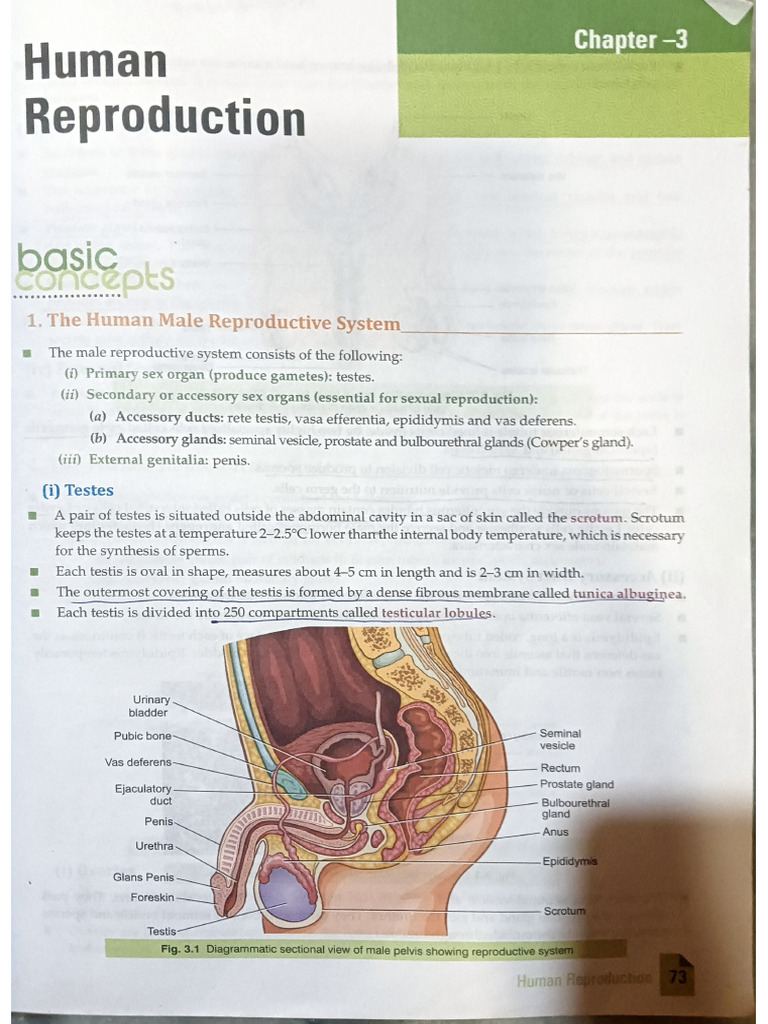 Biology Chapter 2 | PDF