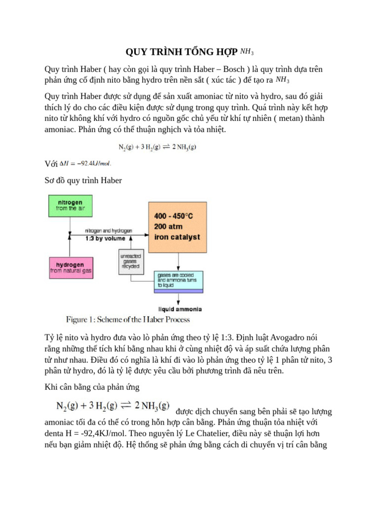 Quy Trình T NG H P NH3 | PDF