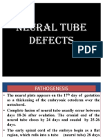 Neural Tube Defects