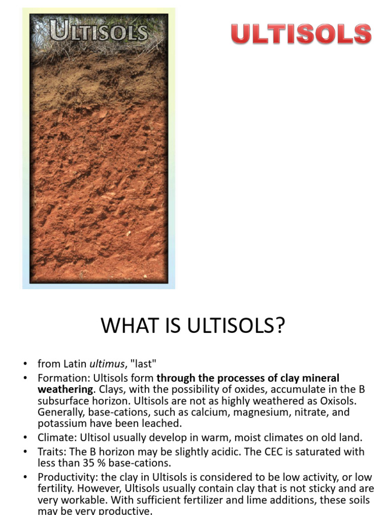 Soil Report ULTISOLS | PDF
