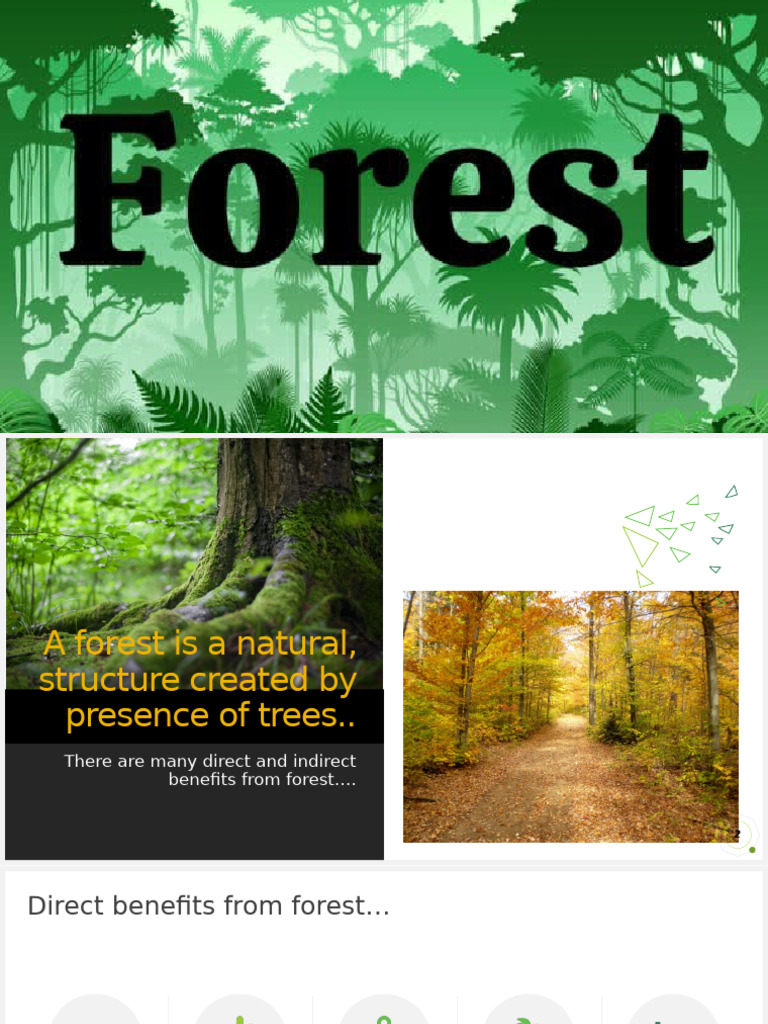 Benefits and Importance of Forests | PDF | Forests | Amazon Rainforest