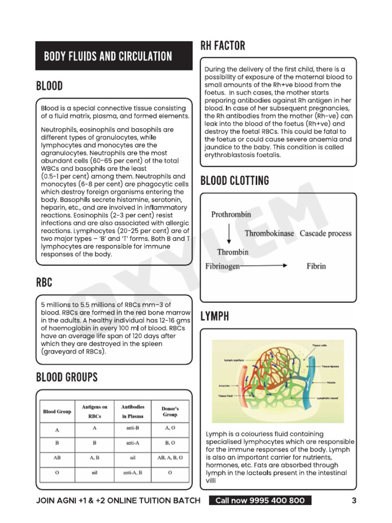 Body Fluids and Circulation | PDF