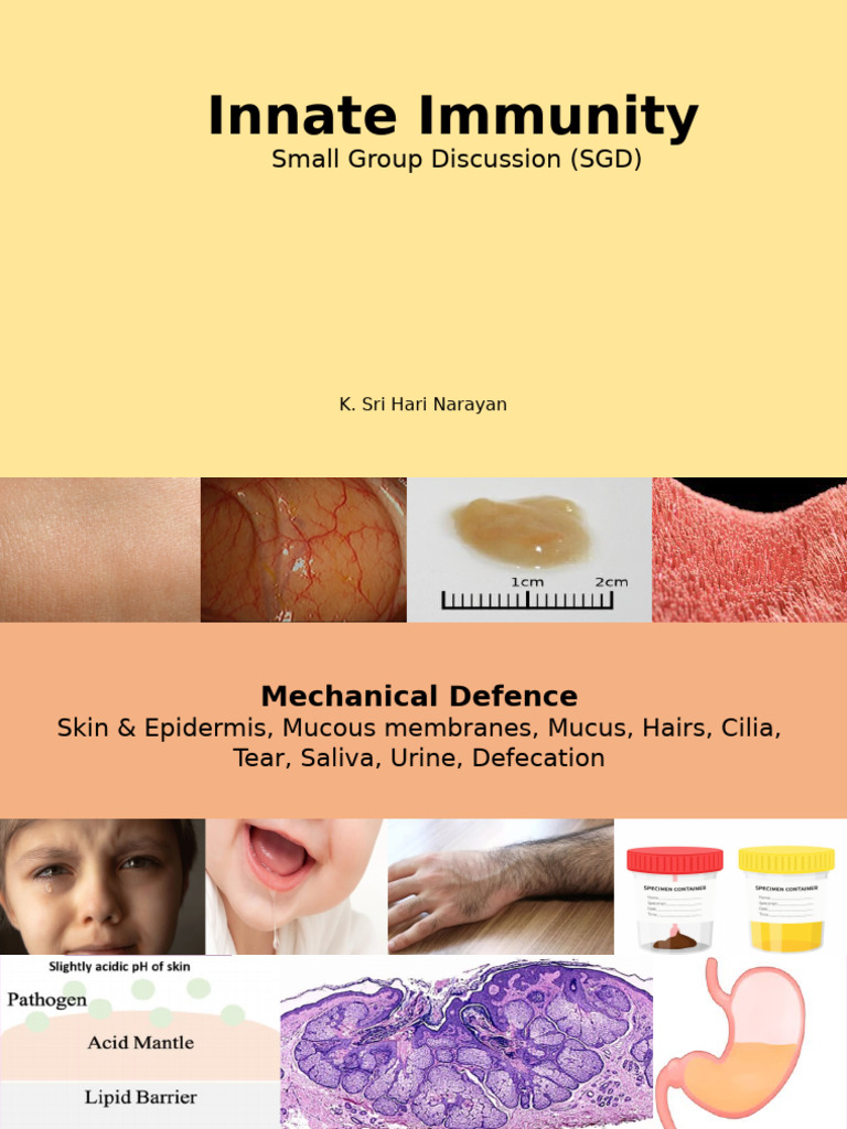 Innate Immunity | PDF