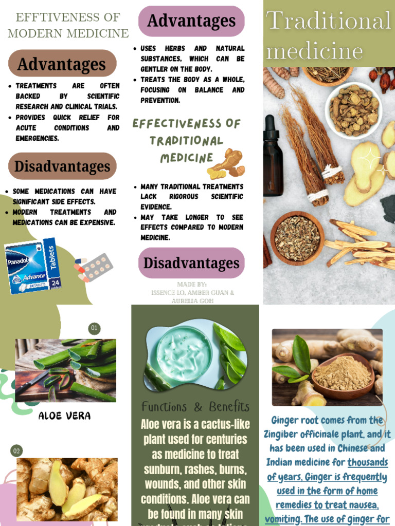 Traditional Medicine: Benefits & Drawbacks | PDF | Ginger | Clinical ...