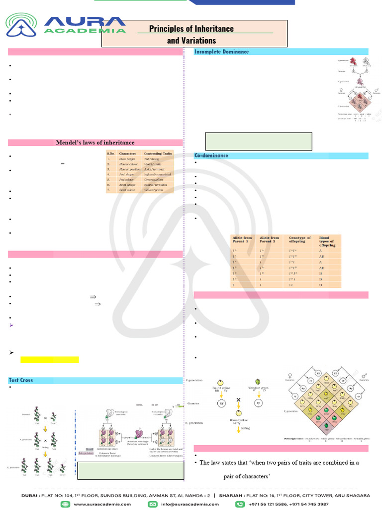 Mendelian Genetics and Inheritance Principles | PDF | Dominance ...