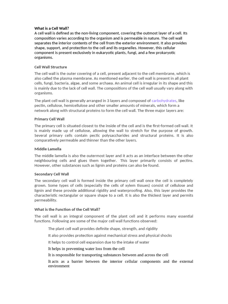 WHAT IS THE DEFINITION OF CELL WALL FOR KIDS visual data 2