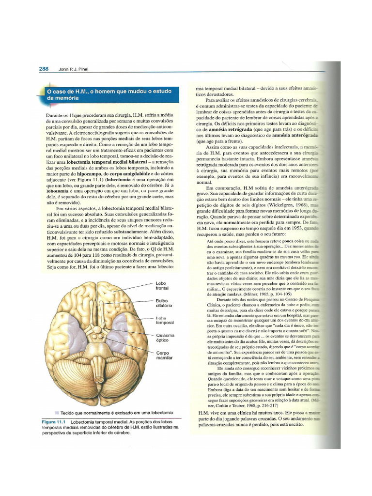 Caso H.M | PDF