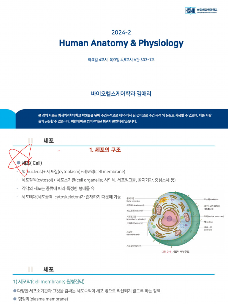 Cell | PDF