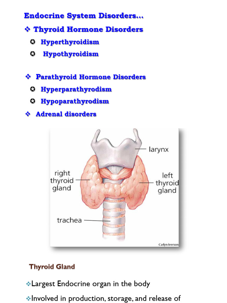B Thyroid Hormone Disorder 2015 EC | PDF | Hyperthyroidism | Hypothyroidism