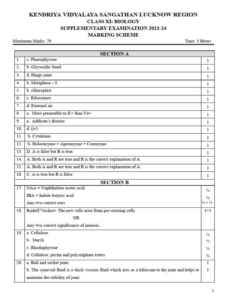 Biology Exam Marking Scheme 2023-24 | PDF | Muscle Contraction