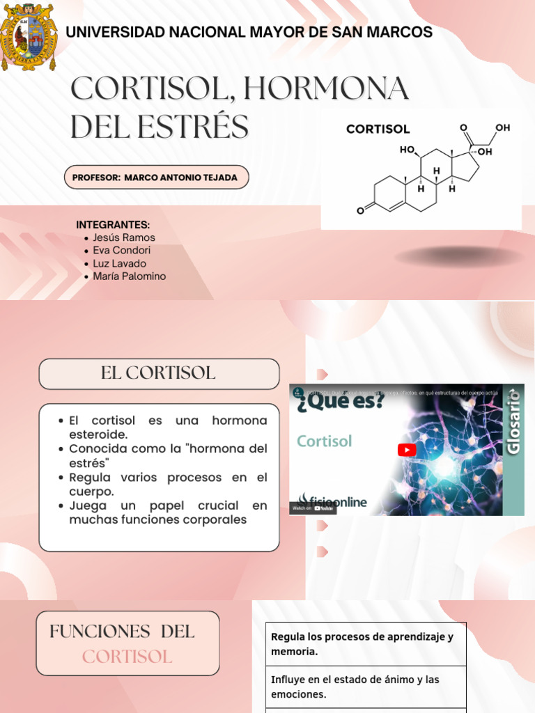 Cortisol, Hormona Del ESTRÉS | PDF | Cortisol | Glándula suprarrenal