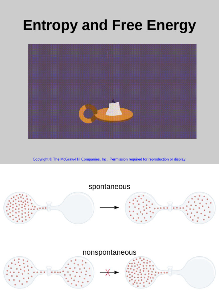 Enthropy and Gibbs Energy | PDF | Gibbs Free Energy | Entropy