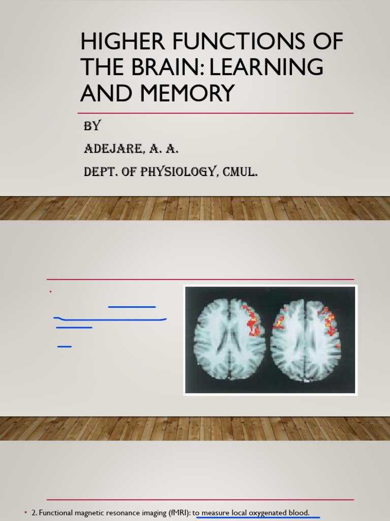Brain Functions: Learning & Memory Insights | PDF | Long Term ...