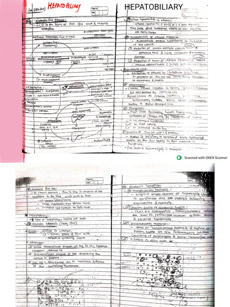 Systemic Pathology 85 | PDF