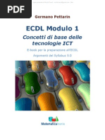 Download Pettarin-ECDL-modulo1 by Nicola Fusco SN80630565 doc pdf